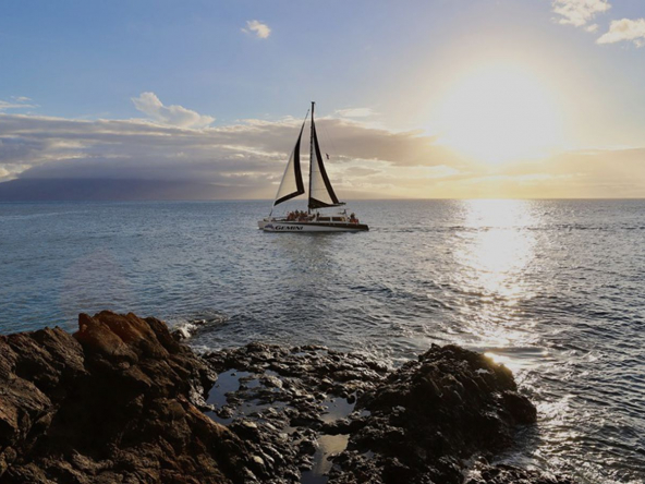 Gemini-Sailing-Charters-Maui Hawaii (3)
