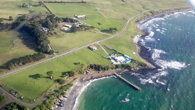Chatham Island Home Stays New Zealand 4