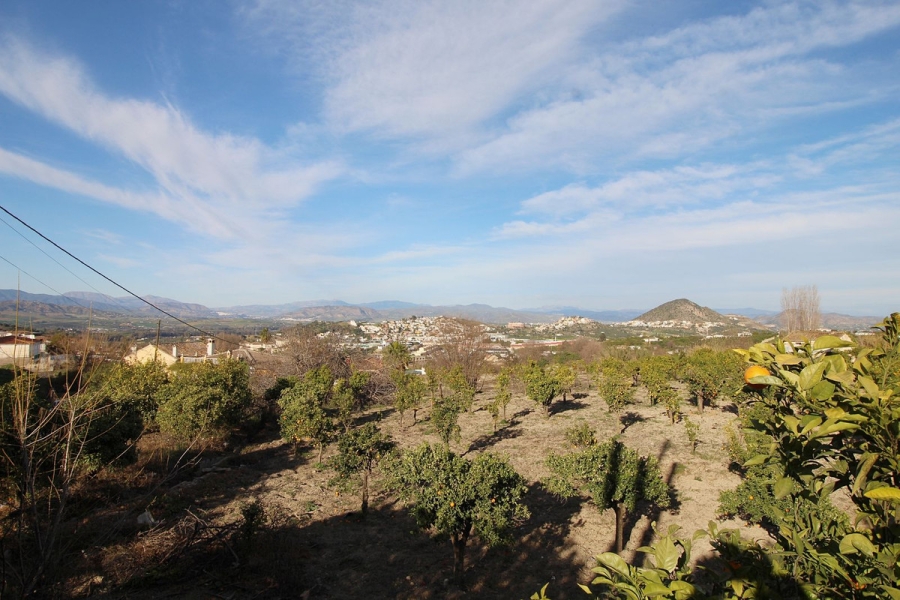 Sunshine Immo Malaga