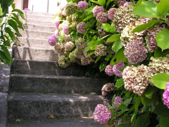 Dream-Homes-Italy-2